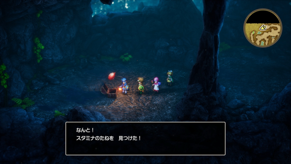 ドラゴンクエスト2(スタミナの種(入手)) ドラゴンクエスト2(スタミナの種(入手))画像